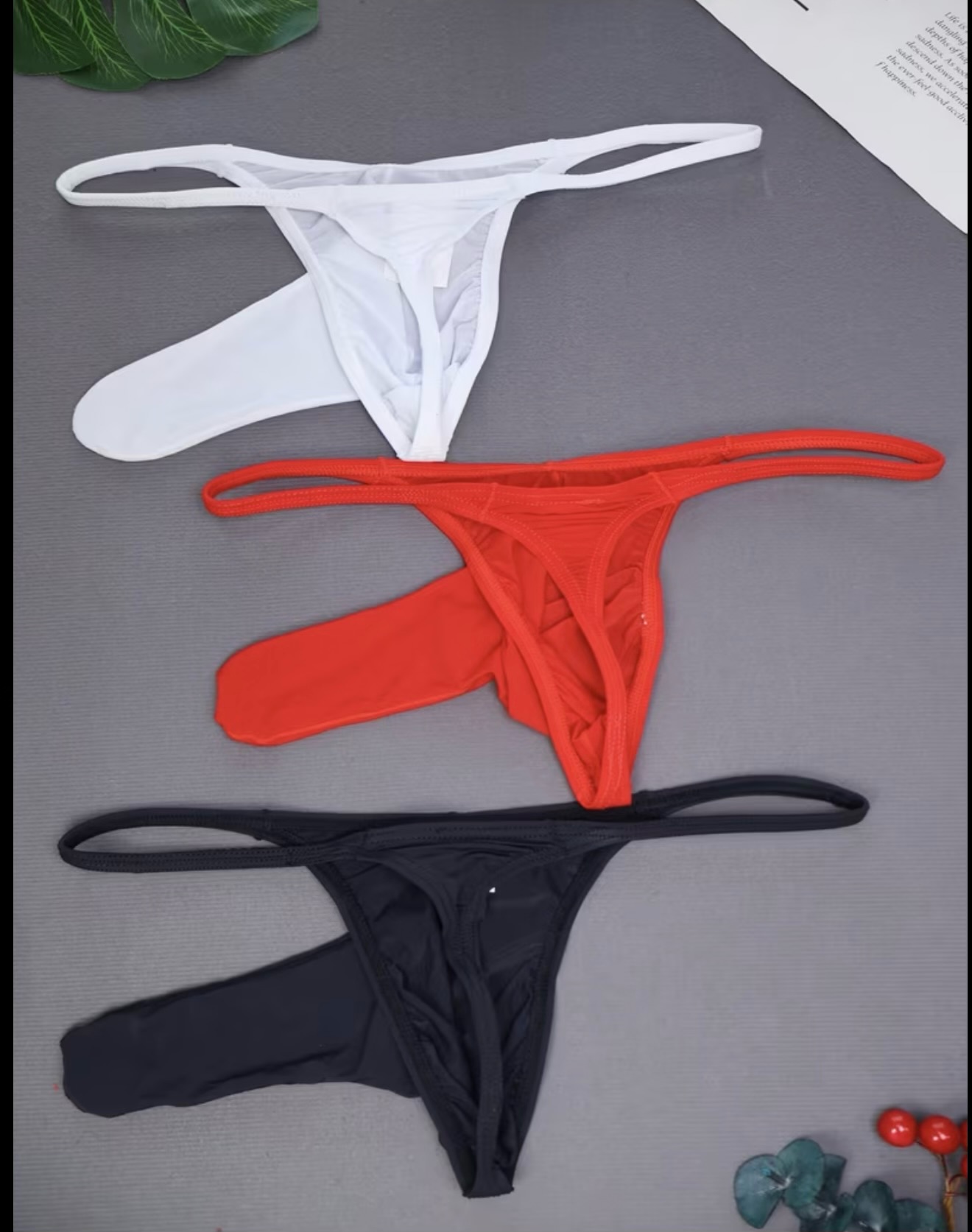 Tanga Elefante X1 imagen 2