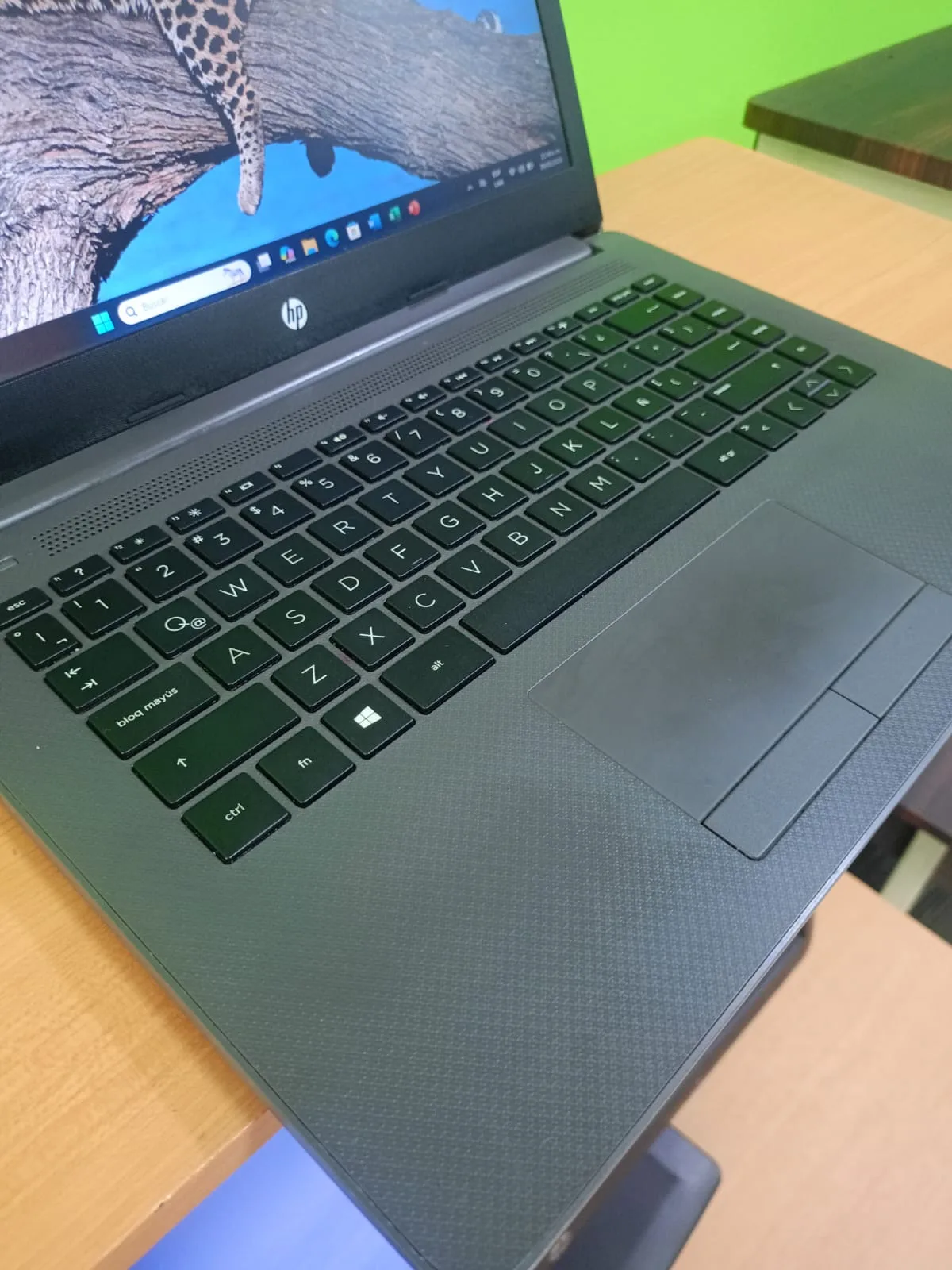 HP RYZEN 5 imagen 4
